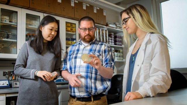 Patrick Gibney and team with yeast strains