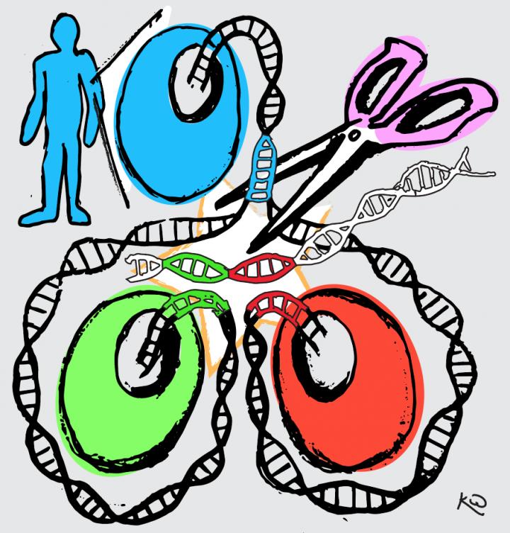 Illustration of the new gene editing technique