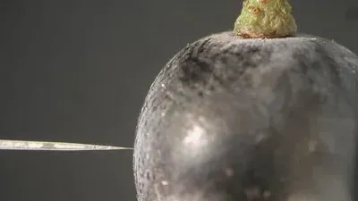 Discovery Shows Wine Grapes Gasping for Breath