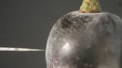 Discovery Shows Wine Grapes Gasping for Breath