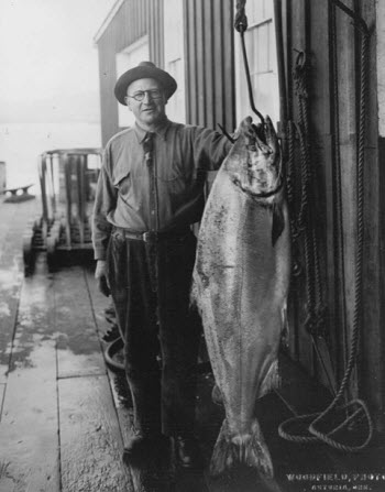 A historically large Chinook salmon from the Columbia River