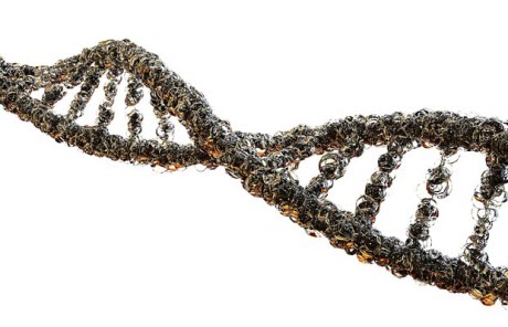 DNA strand