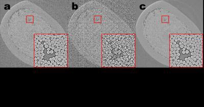 Tomographic Images of a Fiber-Reinforced Mini-Composite