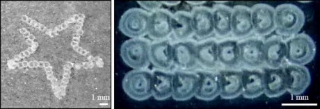 Gel Structures Made Using Hierarchical Biofabrication