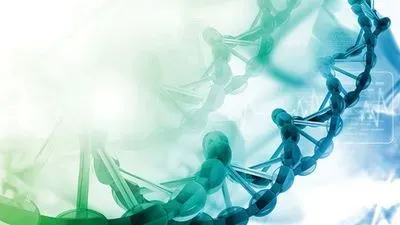 INSIGHTS on Next-Generation Sequencing