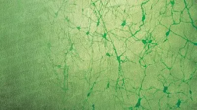 The Case for Primary Cells