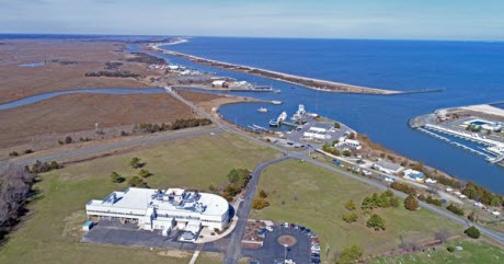 An aerial view of the coast near University of Delaware's Hugh R Sharp campus in Lewes