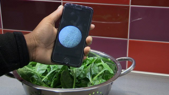 sensor with spinach