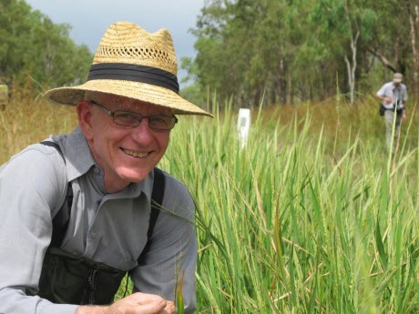 Professor Robert Henry Collects Wild Rice