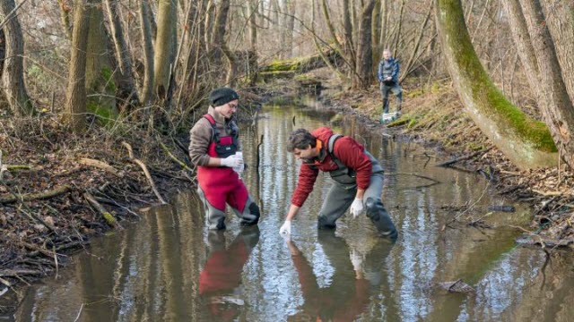 Environmental DNA Analysis