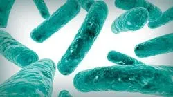 INSIGHTS on Industrial Microbiology