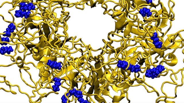 Molecular Dynamics Model