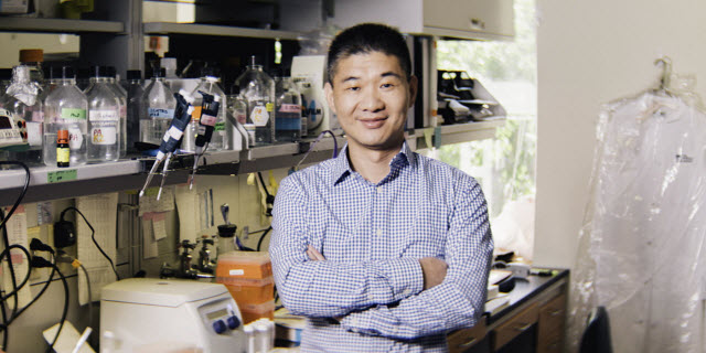 Rugang Zhang, PhD