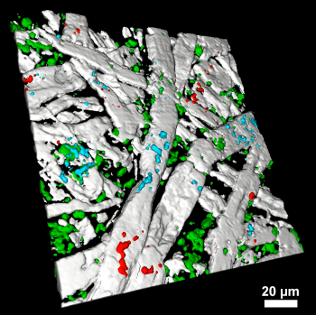 3D Raman image of cellulose fibers and additives in paper