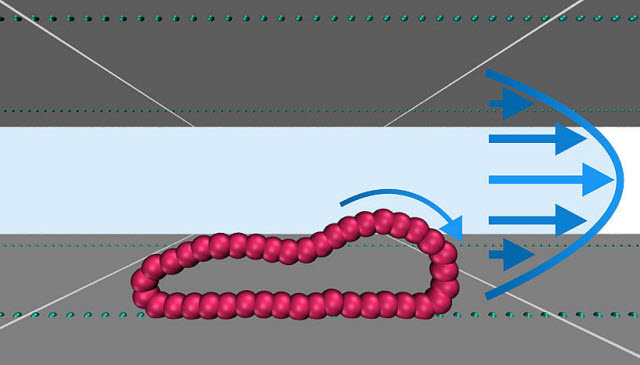 Nanomaterials: How to separate linear and ring-shaped molecules