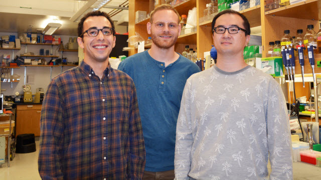 Scripps research team