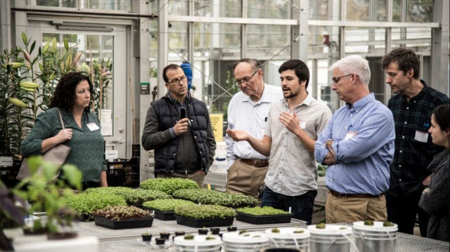 Cornell greenhouse tour