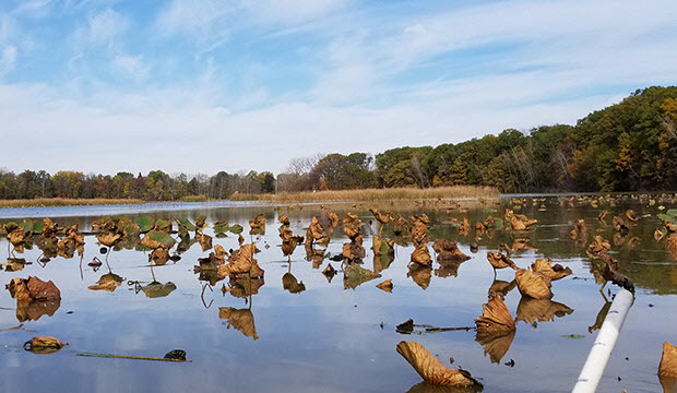 Old Woman Creek National Estuarine Research Reserve