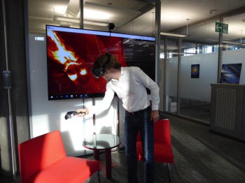 Put Your Head Inside a Virtual Brain 