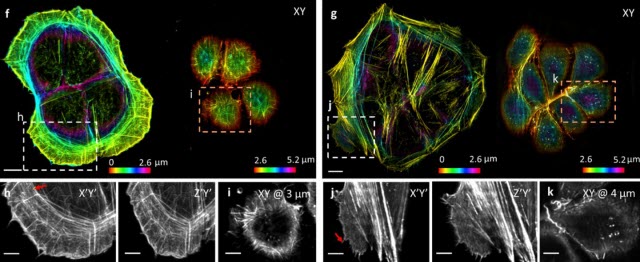 Mirrored Coverslip Images