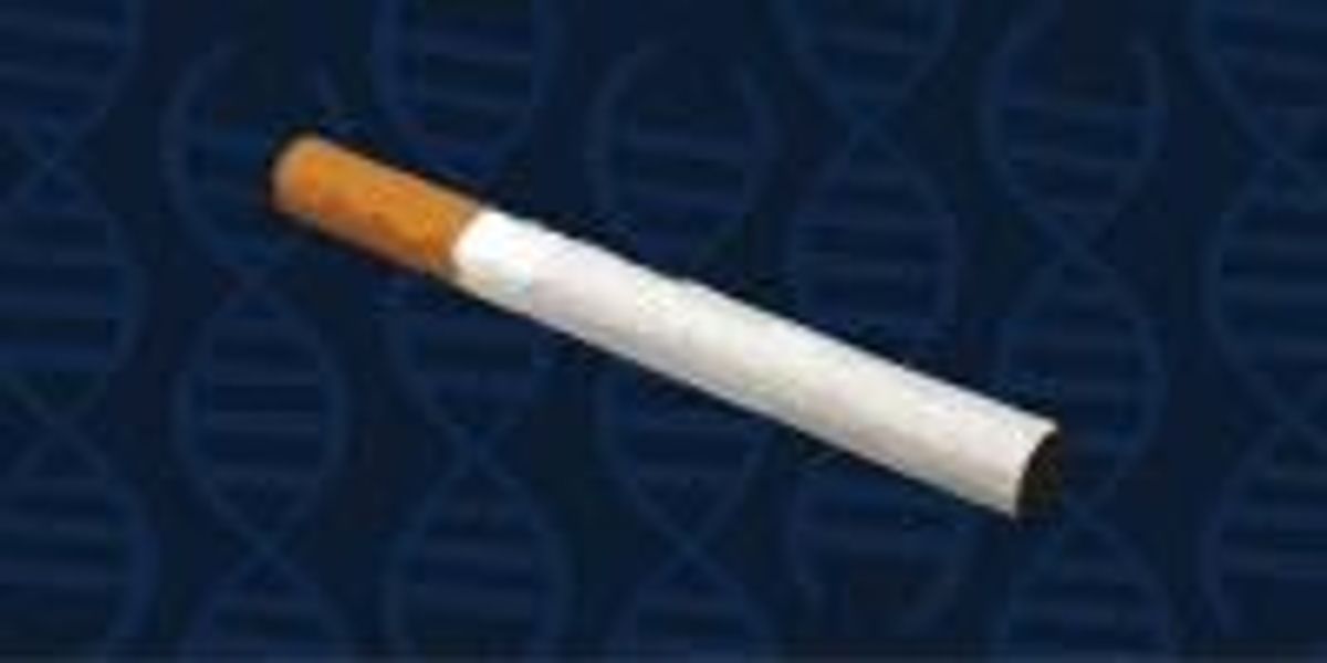 tobacco license maryland Tobacco/Nicotine Retailer Education and Enforcement