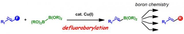 Synthetic route to diverse fluoroalkenes