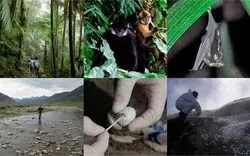 Mapping the Microbiome of Everything