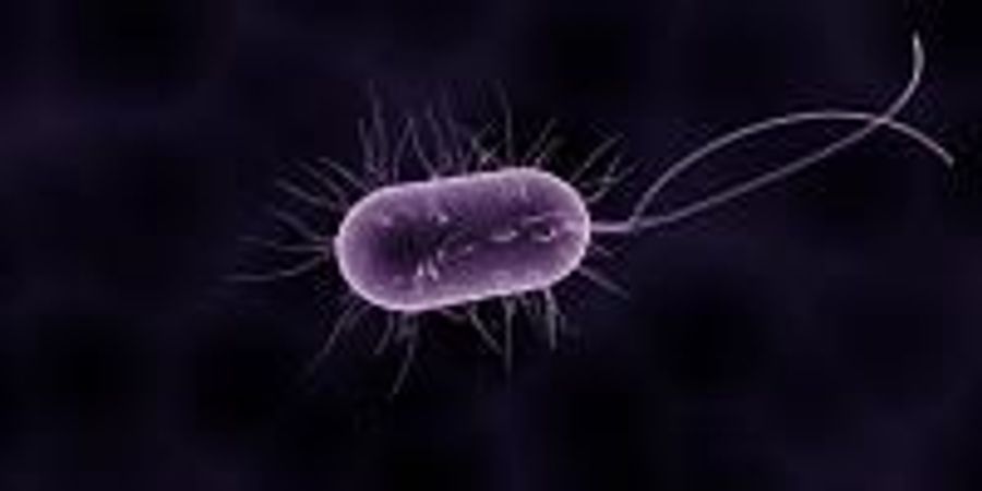 Study Identifies Mechanism Bacteria Use to Attach to Surfaces | Lab Manager