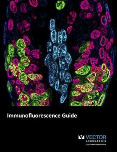 Vector Laboratories Publishes New Guide for Immunofluorescence