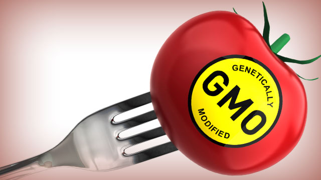 New GMO Image