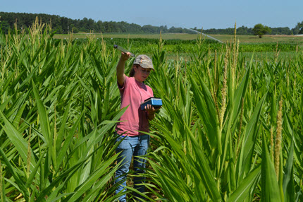 Ali Hintz in the field