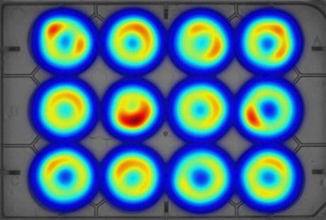 Heatmap of the Gammarus pulex behavioral activity