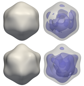 Reconstructions of a rice dwarf virus 