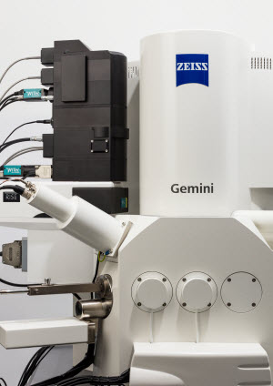 ZEISS Sigma 300 with WITec RISE microscopy