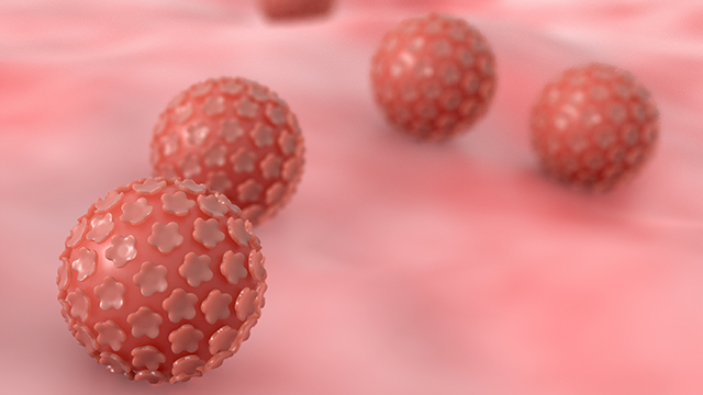 HPV illustration