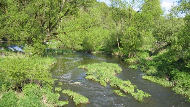 Preservation of Floodplains Is Flood and Diversity Protection