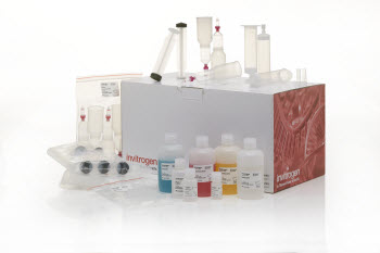 plant protoplast transfection midikit