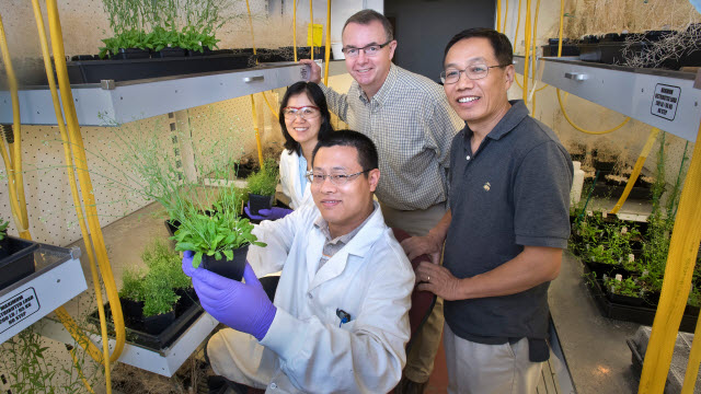 A Brookhaven Lab research team