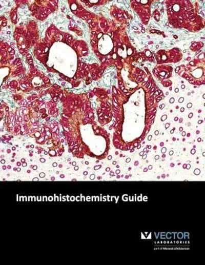 Vector Laboratories Publishes New Immunohistochemistry Guide