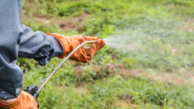 herbicide spraying