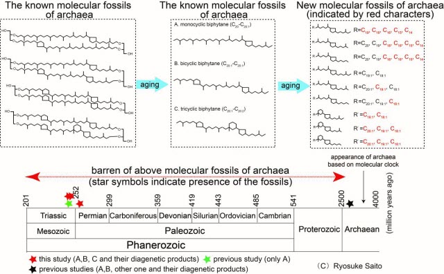 Molecular fossils of Archaea 