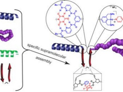 Chemists Get Step Closer to Replicating Nature with Assembly of New 3D Structures