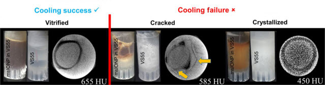 Photographs and CT images of three separate arteries in 1 milliliter vials