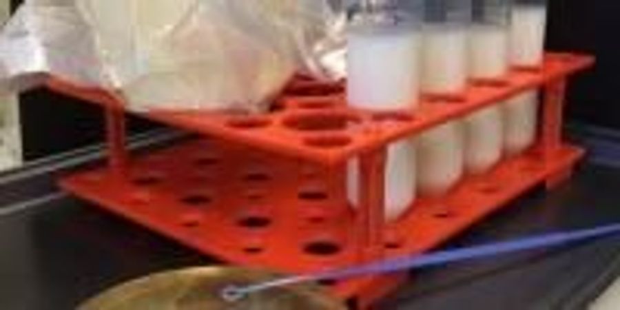 Researchers Unlock Cheesemaking Secret | Lab Manager