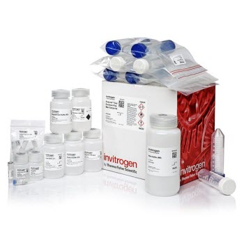 PureLink Expi Endotoxin-Free Maxi Plasmid Purification Kit