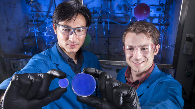 Sandia National Laboratories researchers 