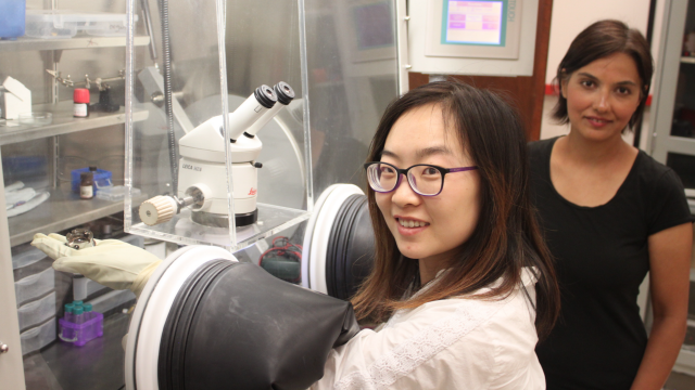 Rong Zhang (left), graduate student in Shanti Deemyad's lab