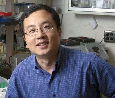 Peihua Jiang, PhD