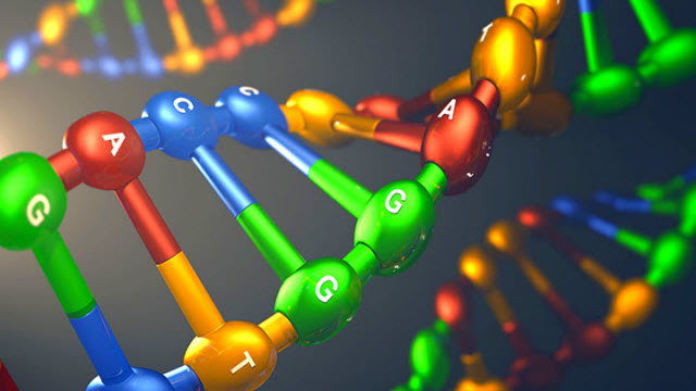 DNA Basics