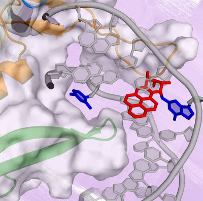 Conformational capture